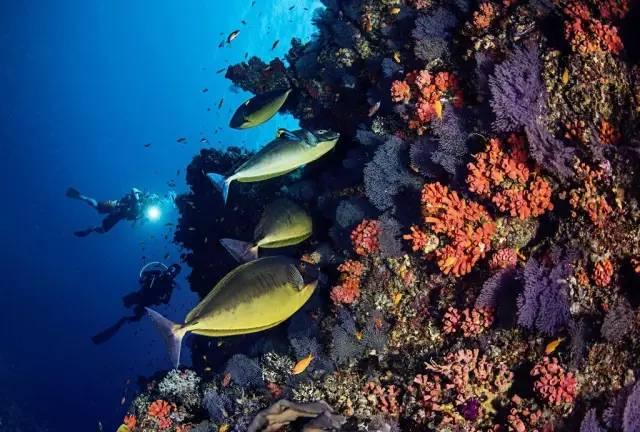 探寻未知世界,尽在“特种兵式”旅游爆火,你会倾向这种旅行方式吗?蜗牛问答平台